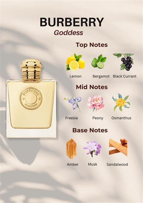 what does burberry summer smell like